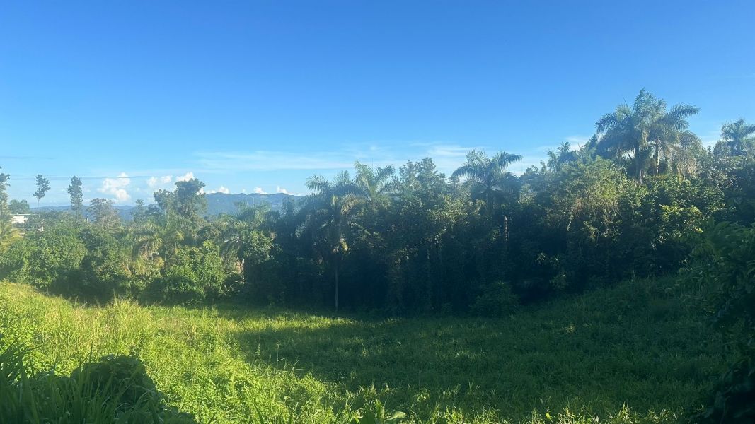 Lote 1 Km 5.7 Carr 172 Bo Cañaboncito Caguas 00727 PR