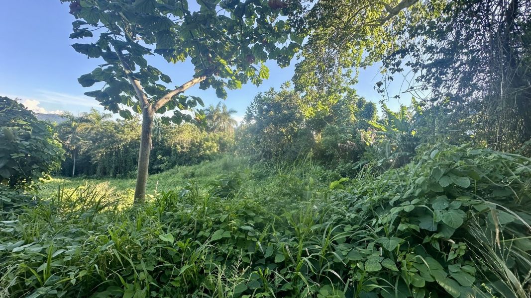 Lote 1 Km 5.7 Carr 172 Bo Cañaboncito Caguas 00727 PR