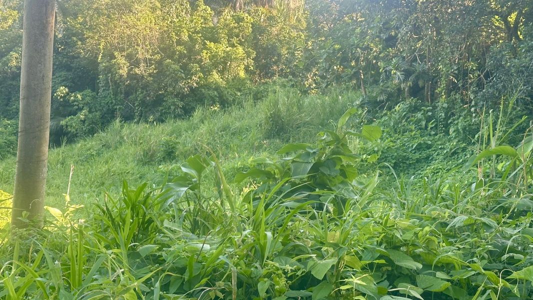 Lote 1 Km 5.7 Carr 172 Bo Cañaboncito Caguas 00727 PR