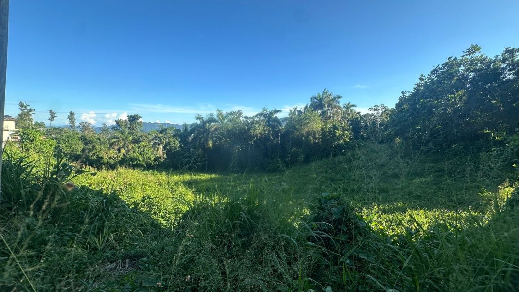 Lote 1 Km 5.7 Carr 172 Bo Cañaboncito Caguas 00727 PR