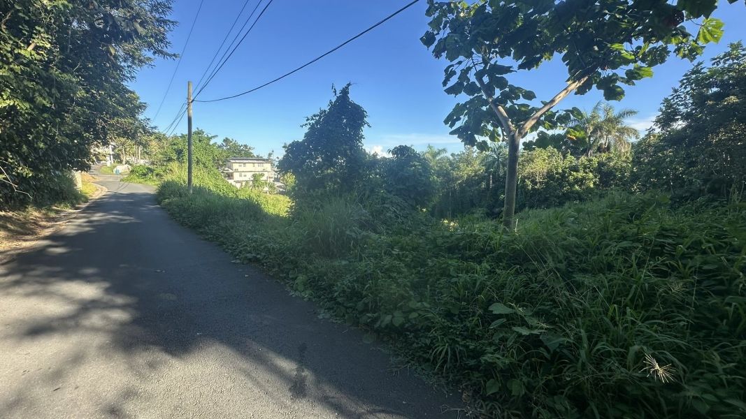 Lote 1 Km 5.7 Carr 172 Bo Cañaboncito Caguas 00727 PR