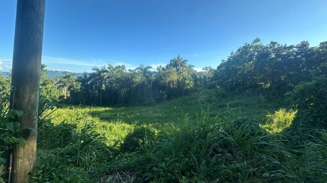 Lote 1 Km 5.7 Carr 172 Bo Cañaboncito Caguas 00727 PR