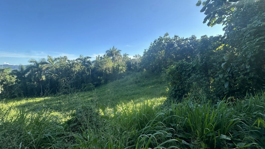 Lote 1 Km 5.7 Carr 172 Bo Cañaboncito Caguas 00727 PR