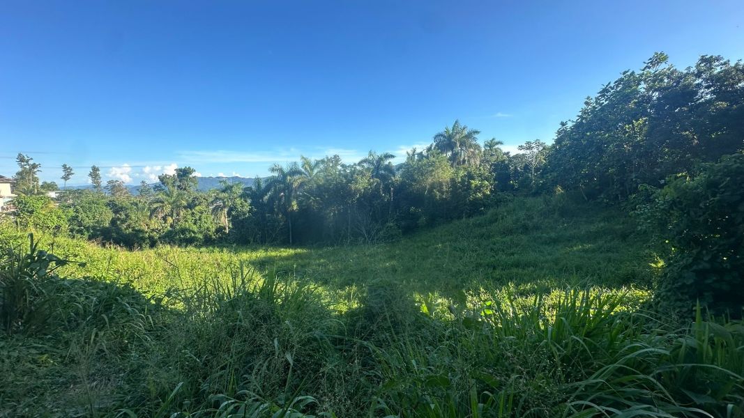 Lote 1 Km 5.7 Carr 172 Bo Cañaboncito Caguas 00727 PR