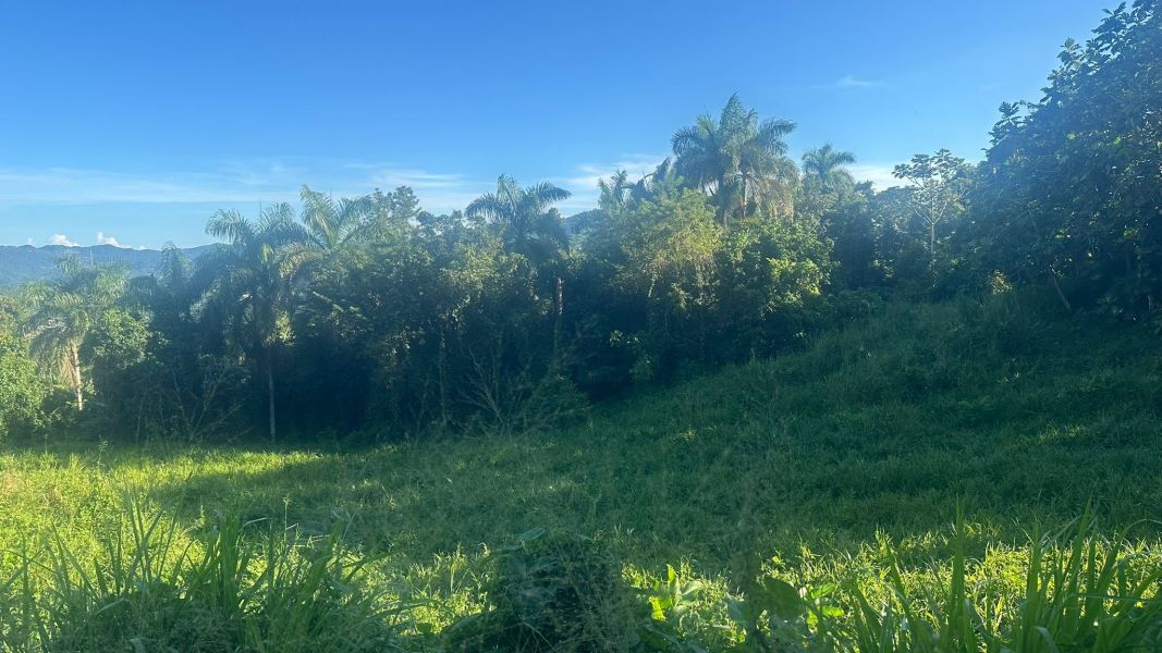 Lote 1 Km 5.7 Carr 172 Bo Cañaboncito Caguas 00727 PR