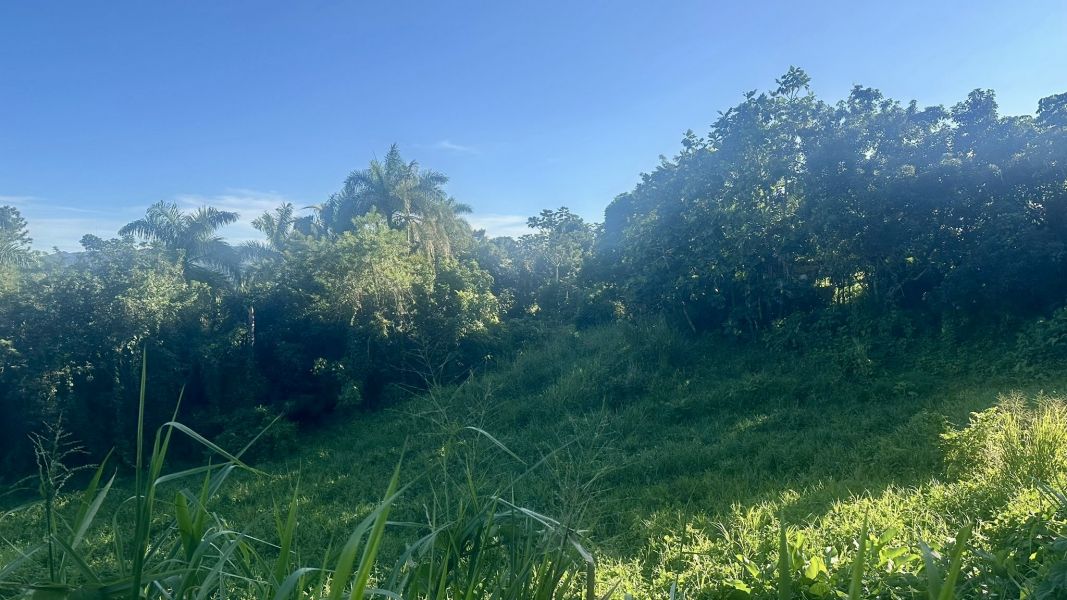 Lote 1 Km 5.7 Carr 172 Bo Cañaboncito Caguas 00727 PR