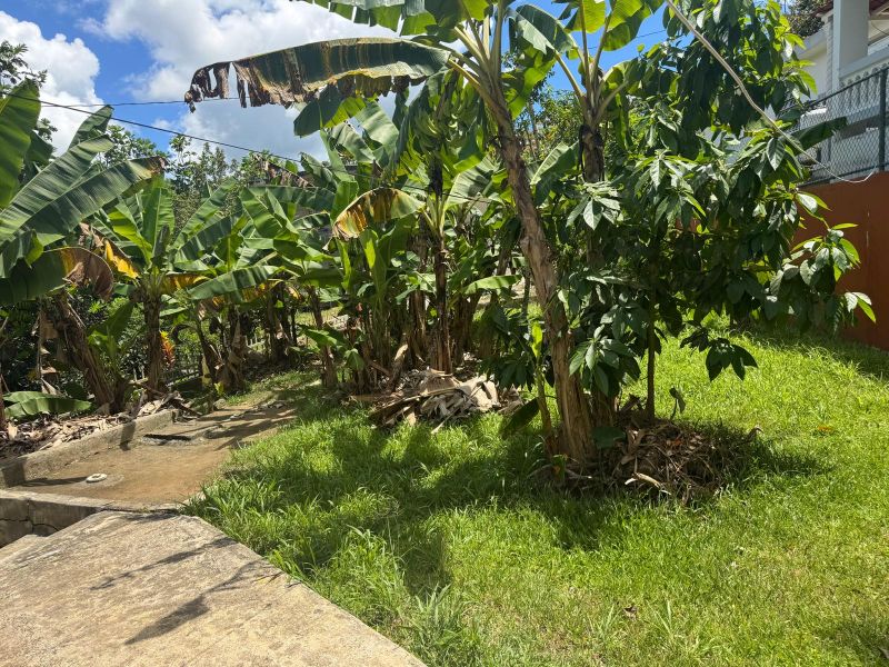 Bo Quemados R1 Km 2 H8 Ramal 788 San Lorenzo 00754 PR