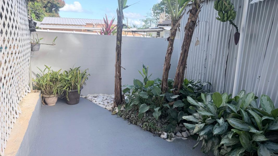 Calle Tamarindo #209 Bo Florencio Naranjo St San P Fajardo 00738 PR