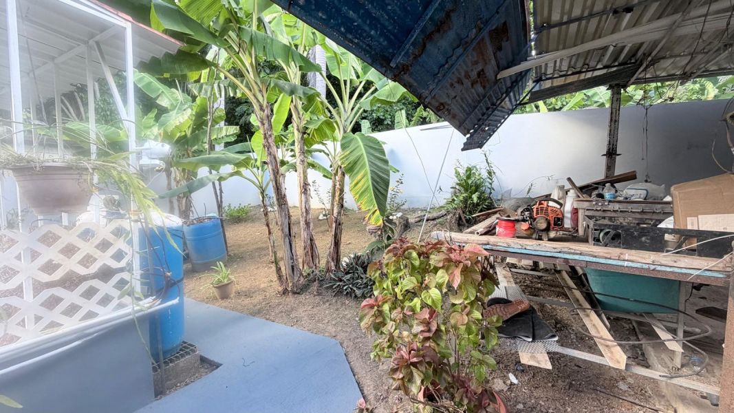 Calle Tamarindo #209 Bo Florencio Naranjo St San P Fajardo 00738 PR