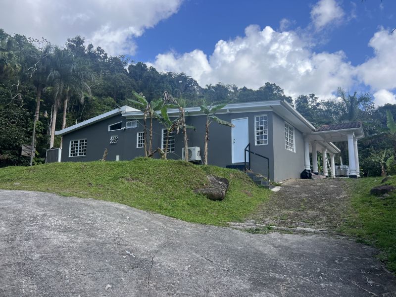 Bo Guaraguao Carr 123 Km.hm 24.6, Ponce - 1