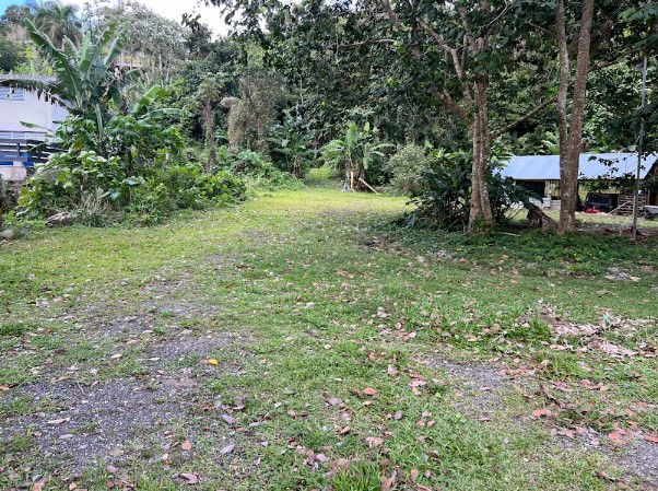 Bo Guaraguao Carr 123 Km.hm 24.6, Ponce - 11