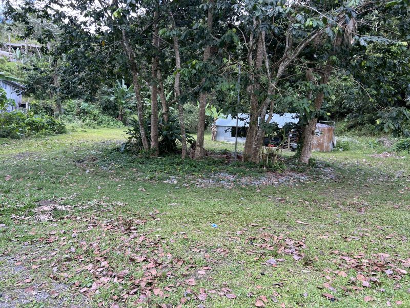 Bo Guaraguao Carr 123 Km.hm 24.6, Ponce - 10