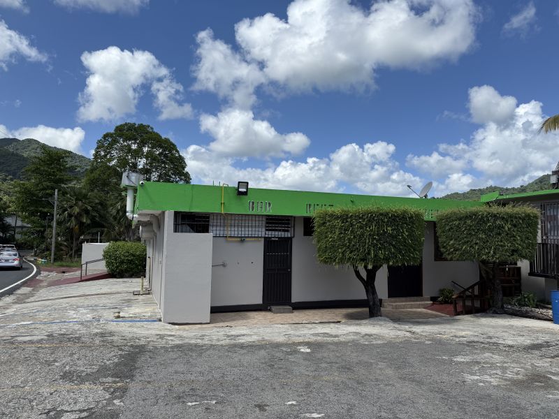 Barrio Cacao Alto Patillas 00723 PR