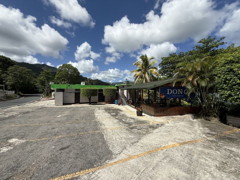 Barrio Cacao Alto Patillas 00723 PR