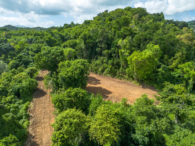 Lote 17 Pr 858 Km 1.8 Golden Valley Sector Cacao W Carolina 00646 PR