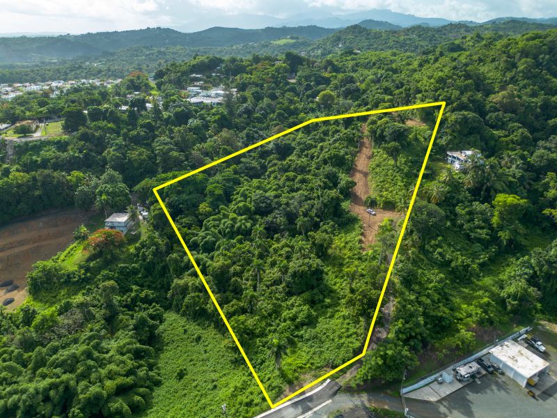 Lote 17 Pr 858 Km 1.8 Golden Valley Sector Cacao W Carolina 00646 PR