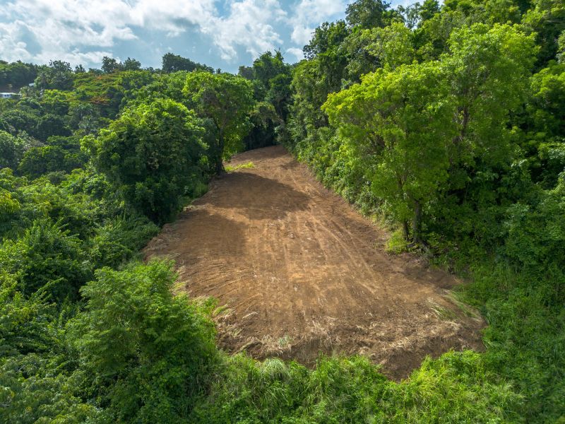 Lote 17 Pr 858 Km 1.8 Golden Valley Sector Cacao W Carolina 00646 PR