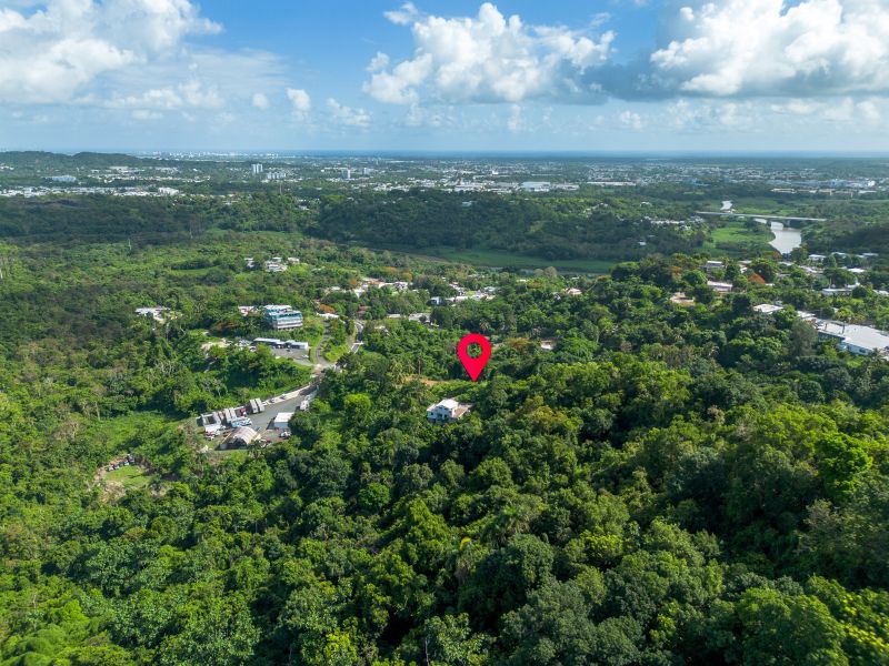 Lote 17 Pr 858 Km 1.8 Golden Valley Sector Cacao W Carolina 00646 PR