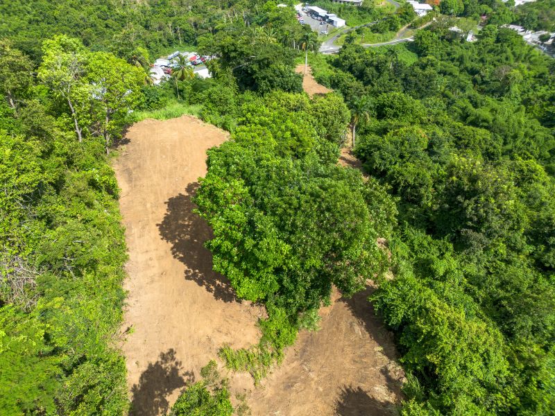 Lote 17 Pr 858 Km 1.8 Golden Valley Sector Cacao W Carolina 00646 PR