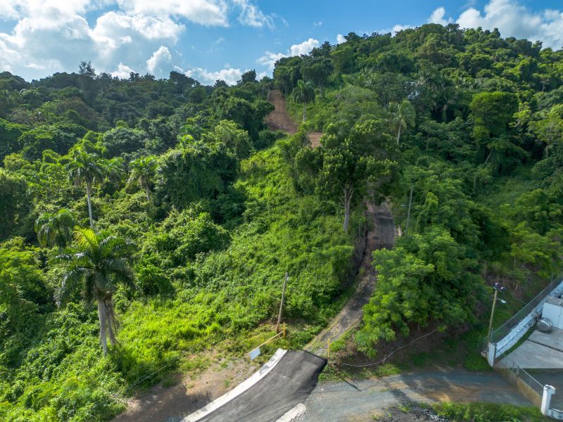 Lote 17 Pr 858 Km 1.8 Golden Valley Sector Cacao W Carolina 00646 PR