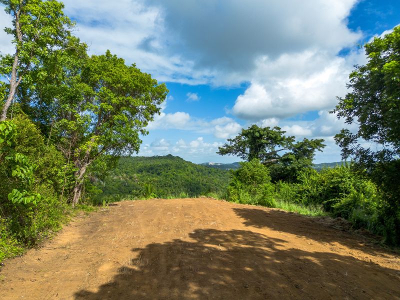 Lote 17 Pr 858 Km 1.8 Golden Valley Sector Cacao W Carolina 00646 PR