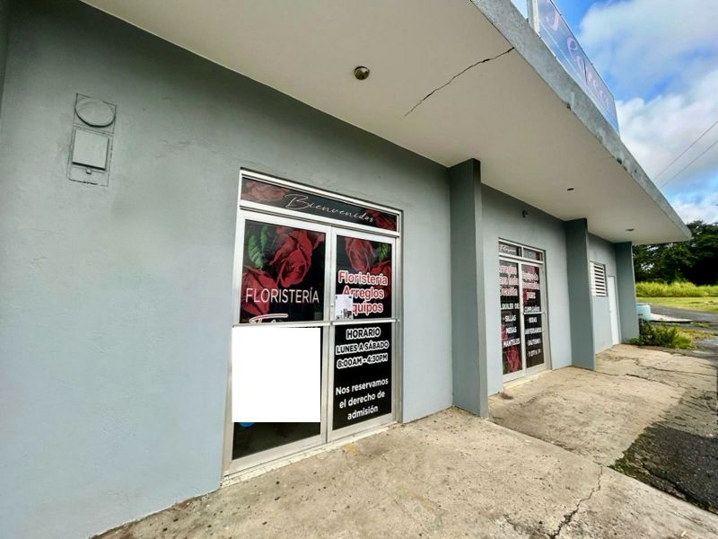 Carr 156 Km 17.7 El Porton Bo Honduras Barranquitas 00794 PR