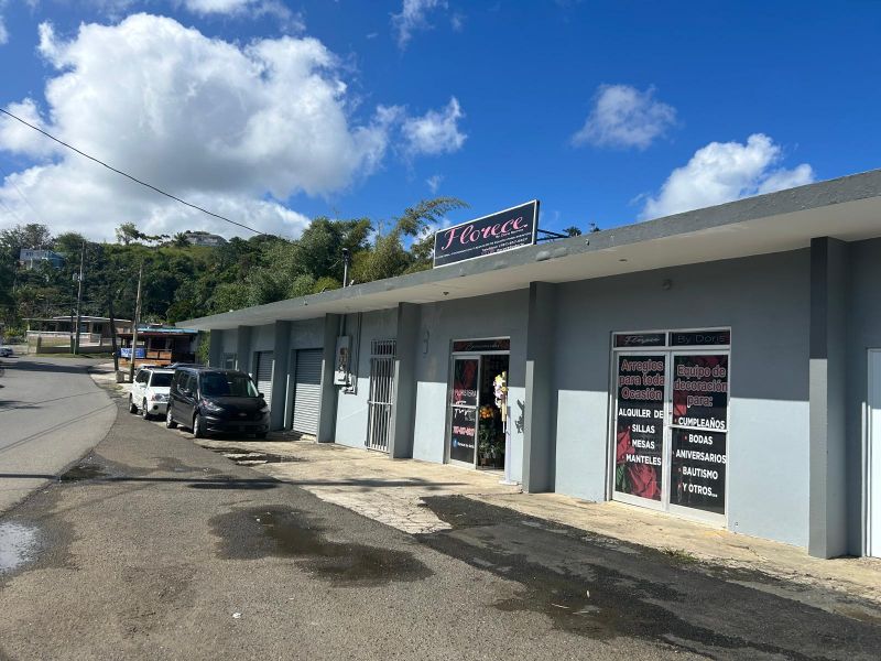 Carr 156 Km 17.7 El Porton Bo Honduras Barranquitas 00794 PR