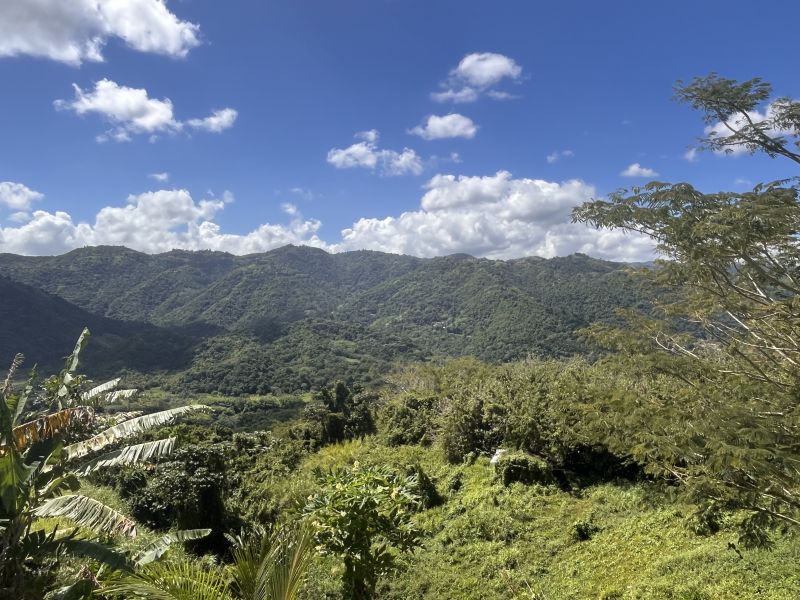Pr 618 Km 1.1 Bo Morovis Sur Morovis 00687 PR