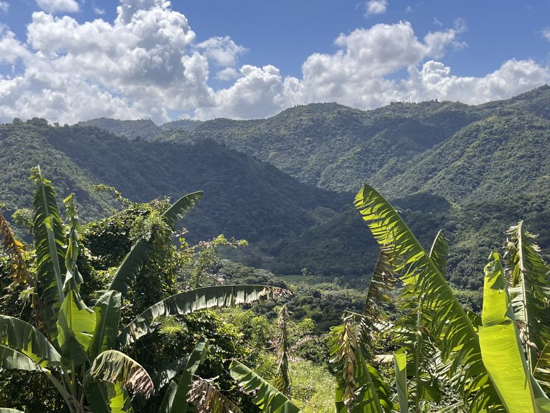 Bo. Morovis Sur, Morovis — foto 10