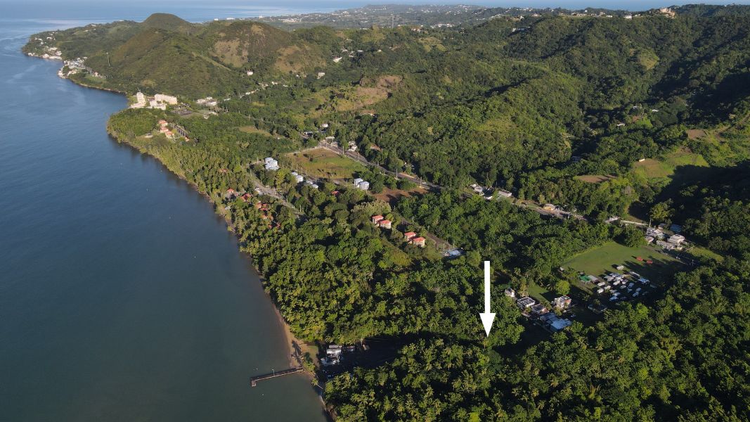 Carr 115 Km 4.3 Int Bo Playa Anasco 00610 PR