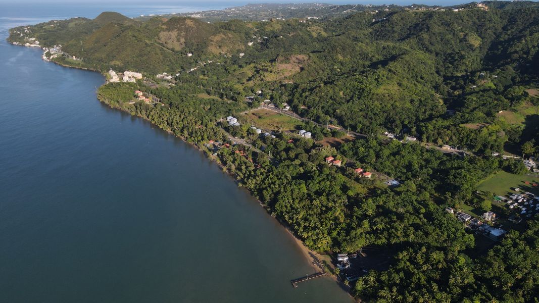 Carr 115 Km 4.3 Int Bo Playa Anasco 00610 PR