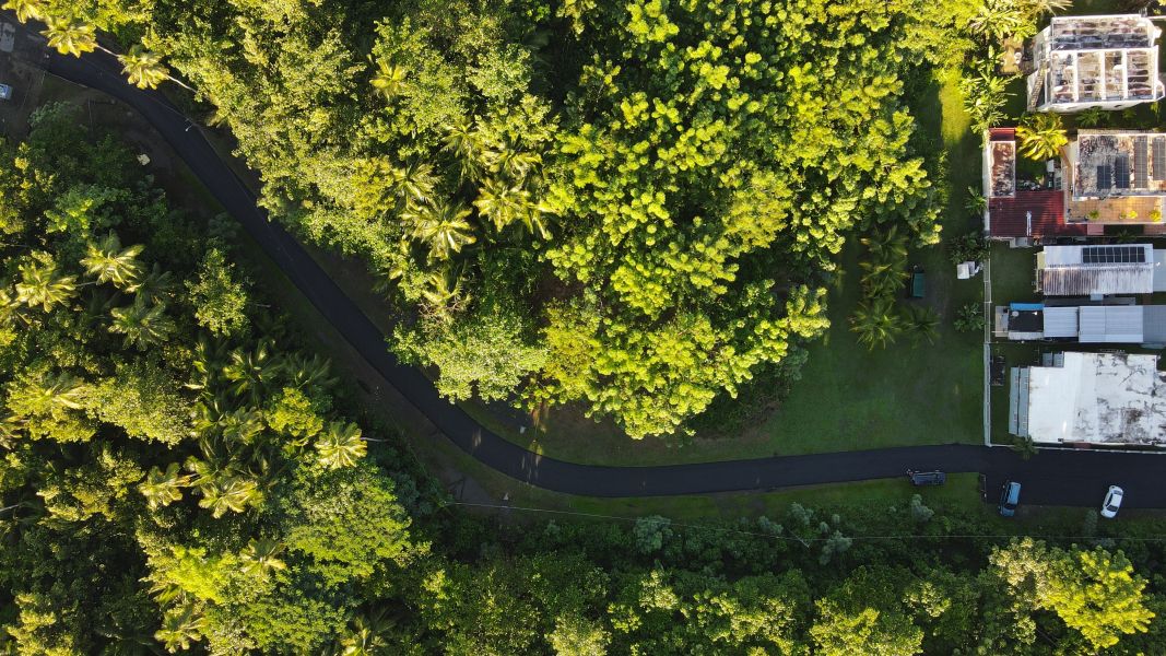 Carr 115 Km 4.3 Int Bo Playa Anasco 00610 PR