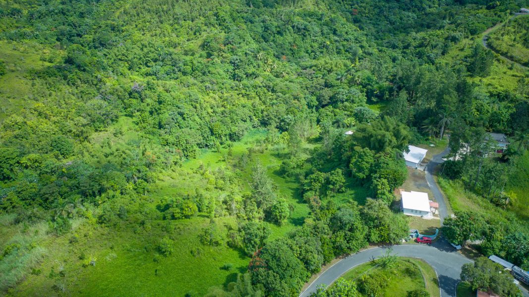 Solar 4 Bo Juan Asencio Carr 790 Km 1.5 Aguas Buenas 00703 PR