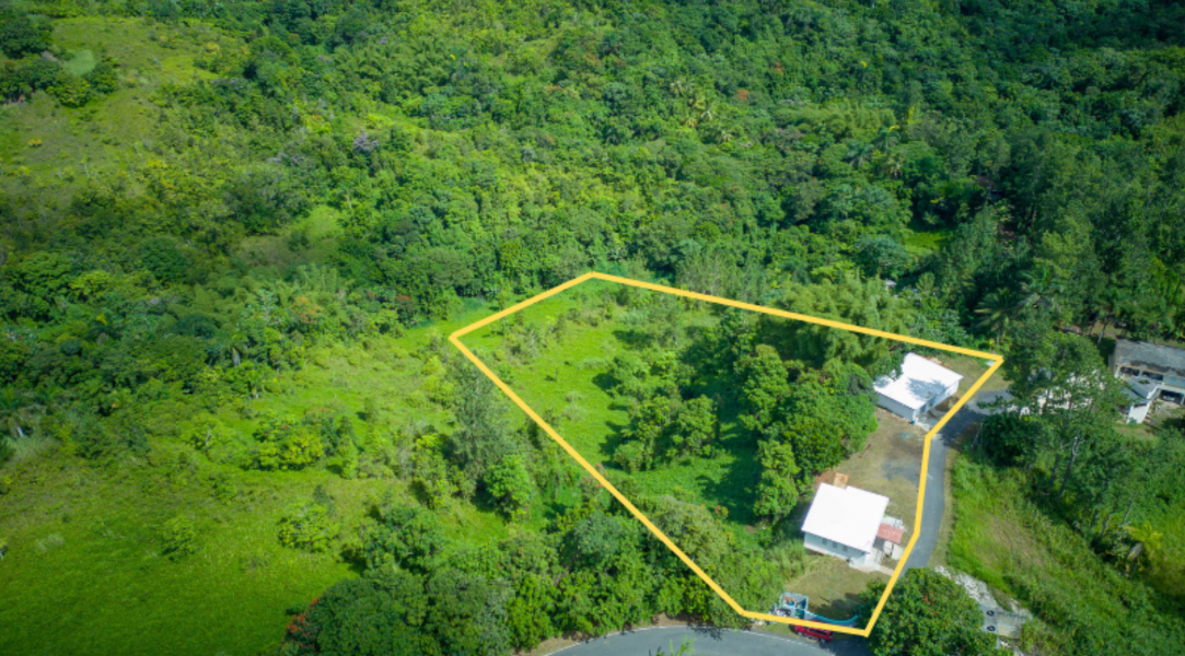 Solar 4 Bo Juan Asencio Carr 790 Km 1.5 Aguas Buenas 00703 PR