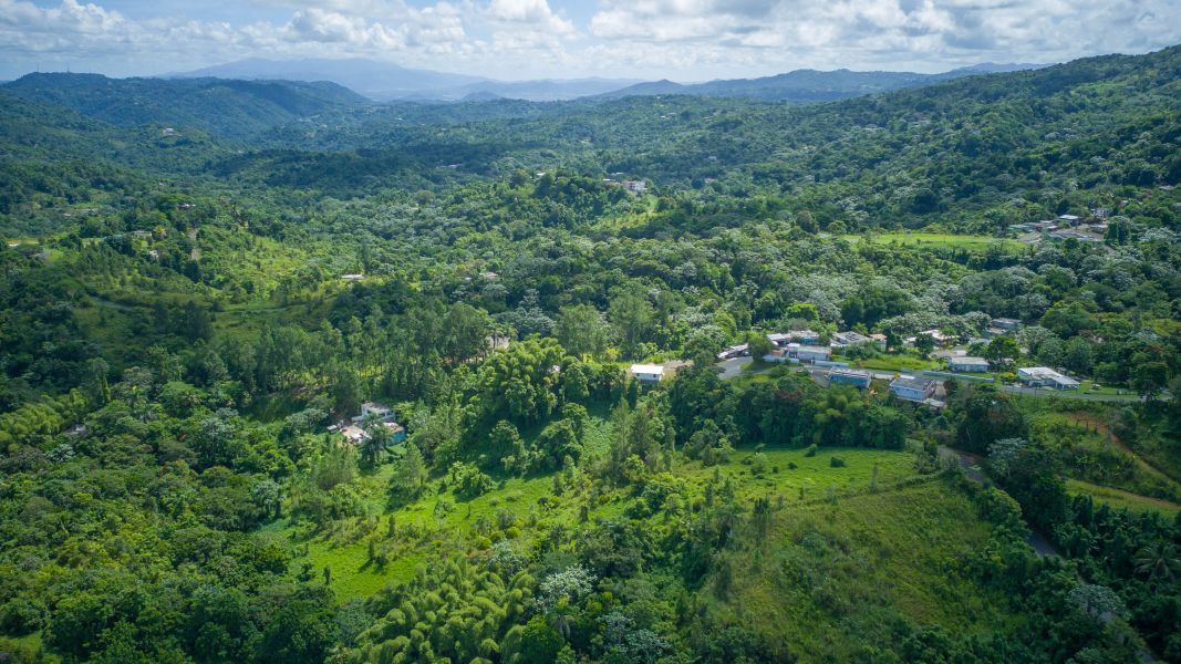 Solar 4 Bo Juan Asencio Carr 790 Km 1.5 Aguas Buenas 00703 PR