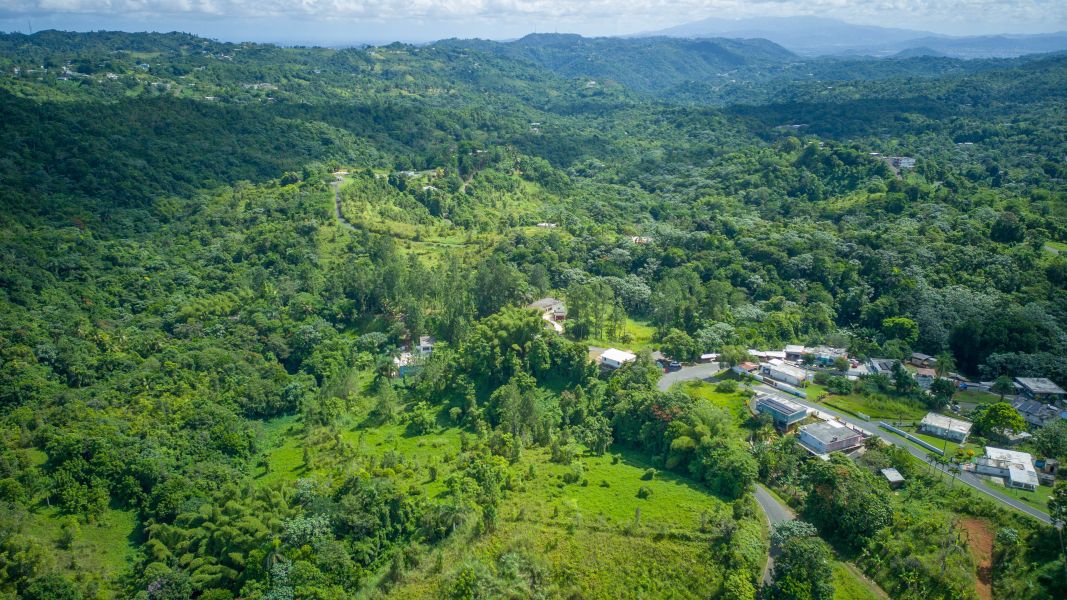 Solar 4 Bo Juan Asencio Carr 790 Km 1.5 Aguas Buenas 00703 PR