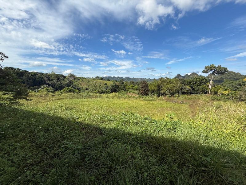 Carr 111 R 602 Km 1.2 Int Bo Angeles, Utuado - 7