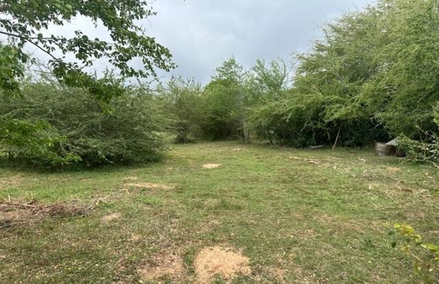 23 Calle Amador Bo Guayabos Isabela 00662 PR