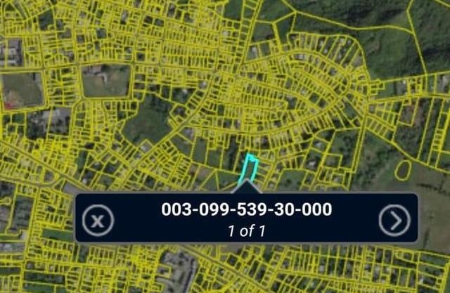 23 Calle Amador Bo Guayabos Isabela 00662 PR