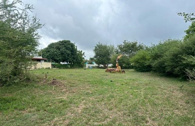 23 Calle Amador Bo Guayabos Isabela 00662 PR