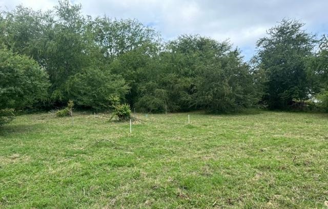 23 Calle Amador Bo Guayabos Isabela 00662 PR