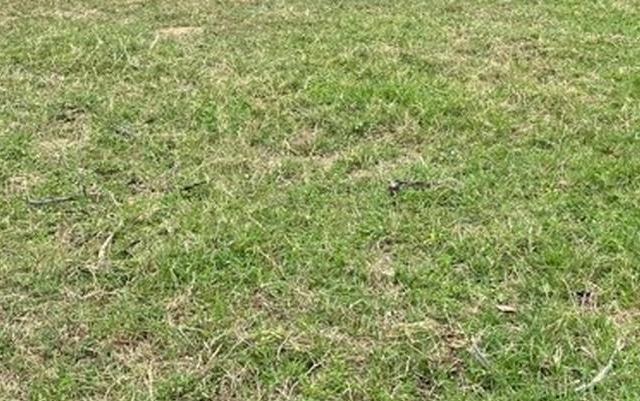 23 Calle Amador Bo Guayabos Isabela 00662 PR