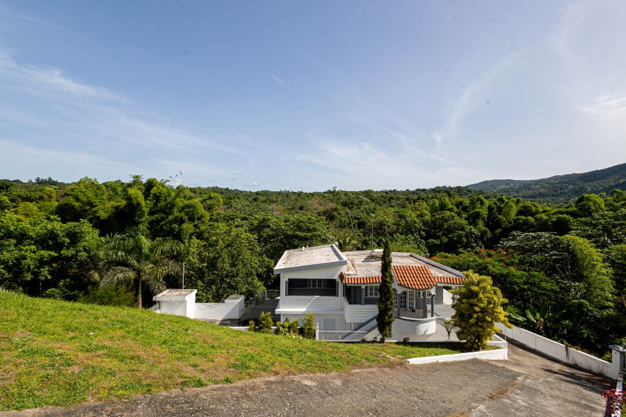 Carr Pr 9920 Km 1.2 Bo Quebrada Arenas San Lorenzo 00754 PR