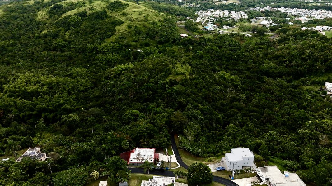 Carr 171 Km 7.8 Int Bo Rincon Cayey 00736 PR