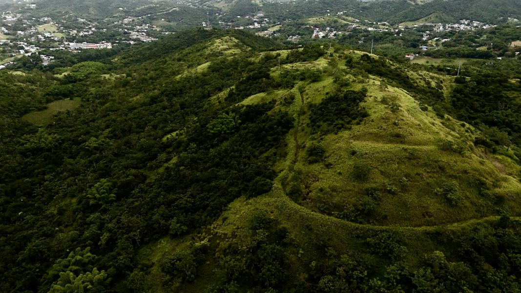 Carr 171 Km 7.8 Int Bo Rincon Cayey 00736 PR