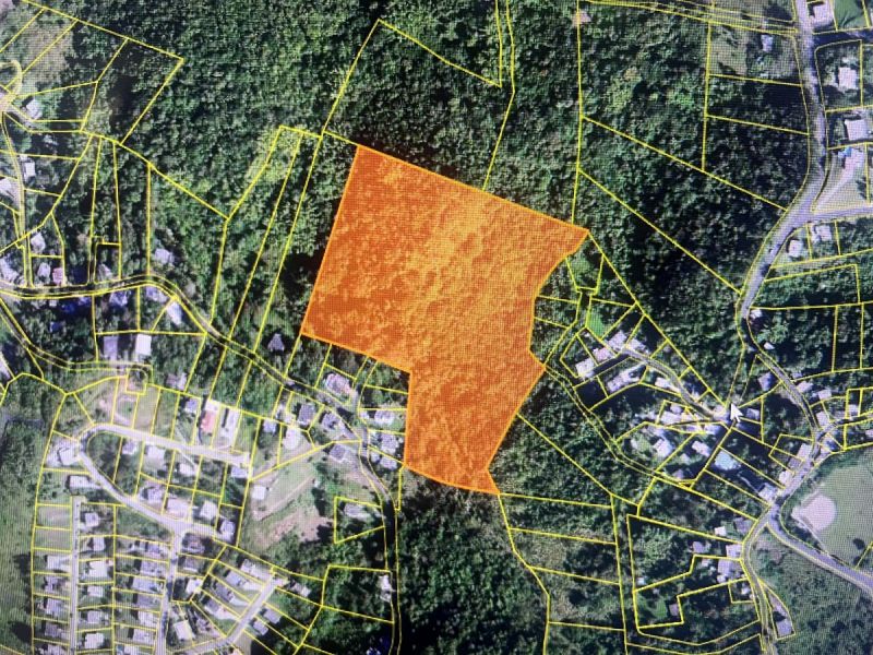 Carr 171 Km 7.8 Int Bo Rincon Cayey 00736 PR