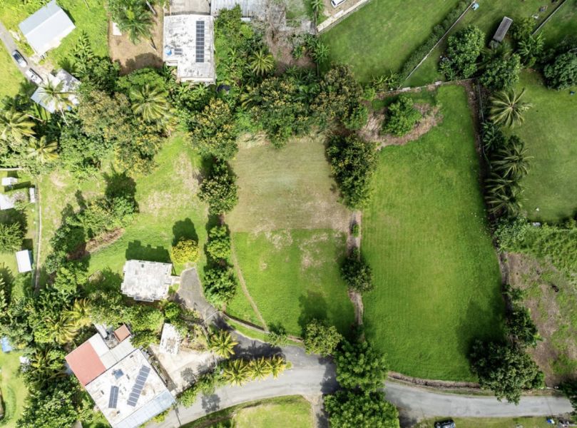 Carr 416 Km Hm 20 Bo Piedras Blancas Adjuntas 00602 PR
