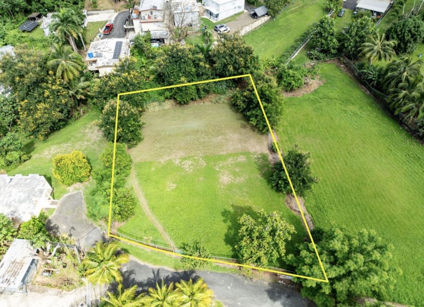 Carr 416 Km Hm 20 Bo Piedras Blancas Adjuntas 00602 PR