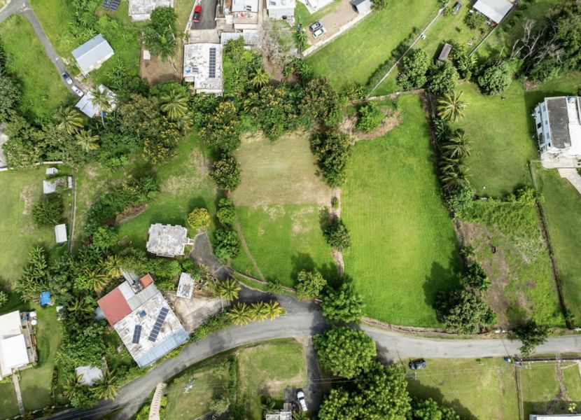 Carr 416 Km Hm 20 Bo Piedras Blancas Adjuntas 00602 PR