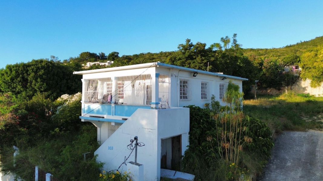 Calle #2 Casa 103 Tallaboa Encarnacion Penuelas 00624 PR